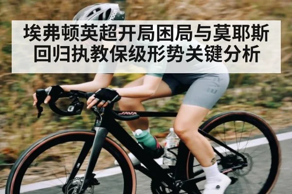 埃弗顿英超开局困局与莫耶斯回归执教保级形势关键分析